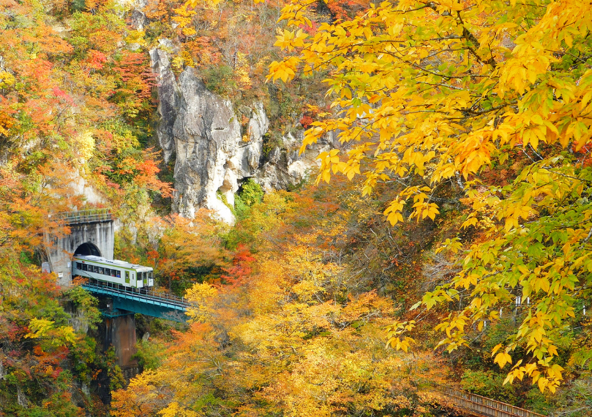 il Treno del foliage